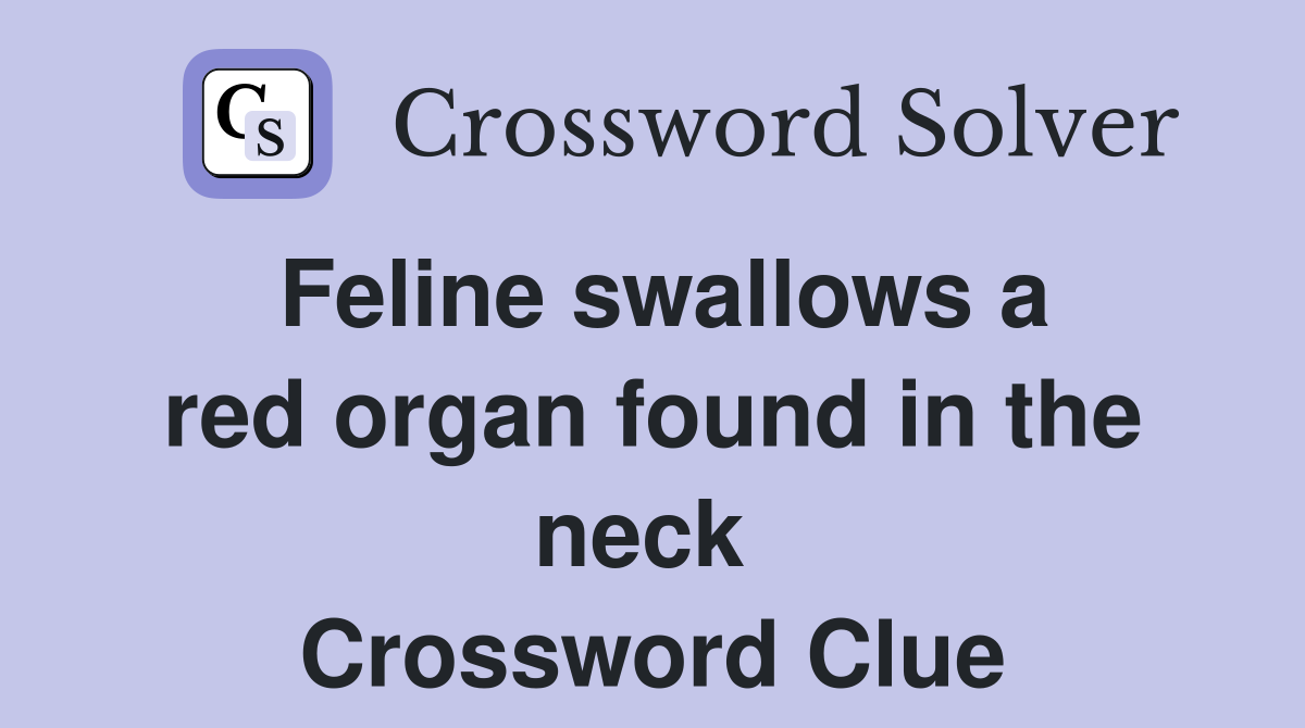 Feline swallows a red organ found in the neck  Crossword Clue