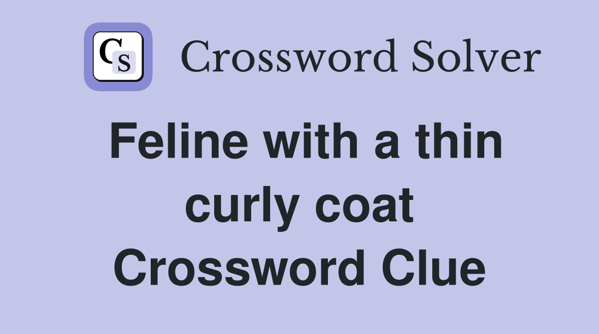 Feline with a thin curly coat Crossword Clue