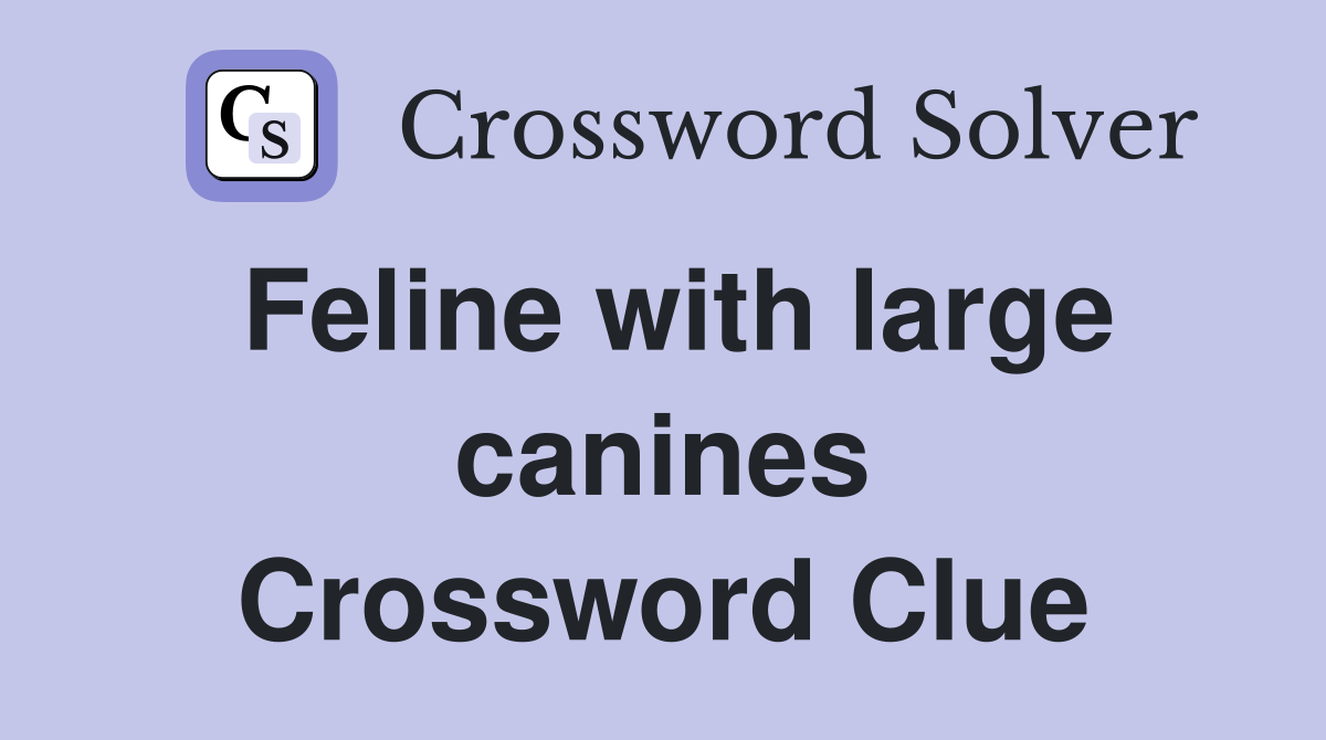 Feline with large canines Crossword Clue