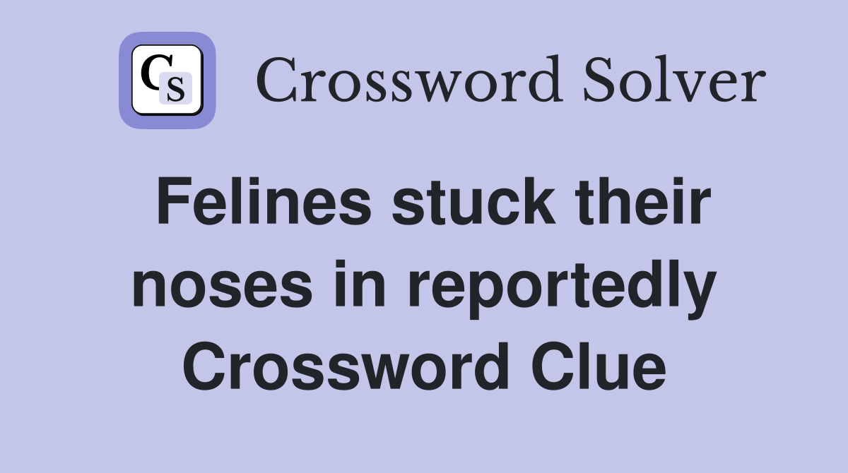 Felines stuck their noses in reportedly Crossword Clue