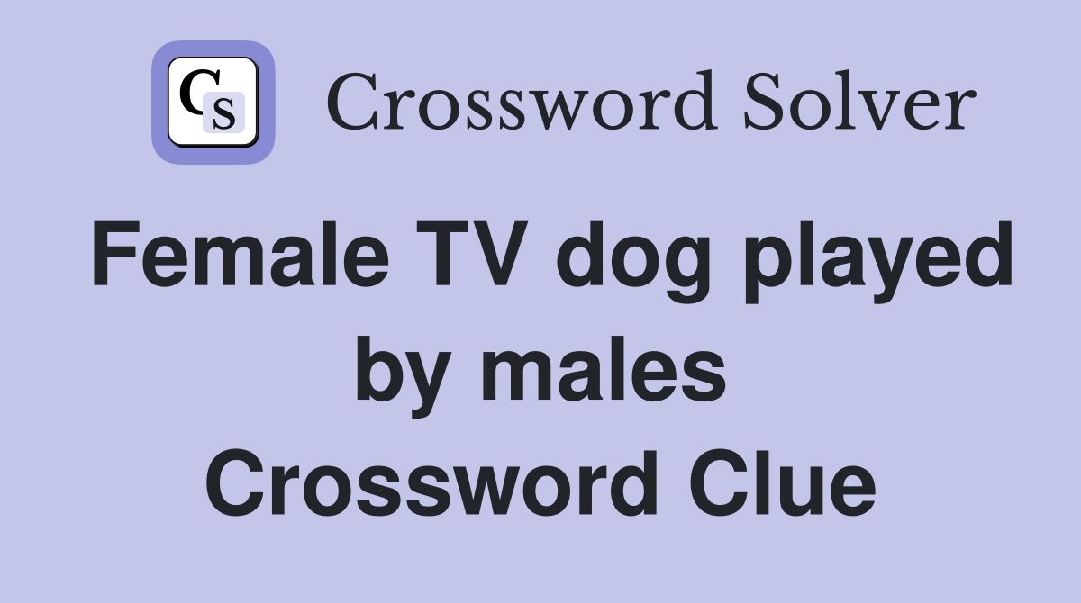 Female TV dog played by males Crossword Clue