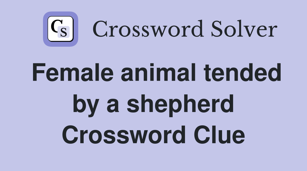 Female animal tended by a shepherd Crossword Clue