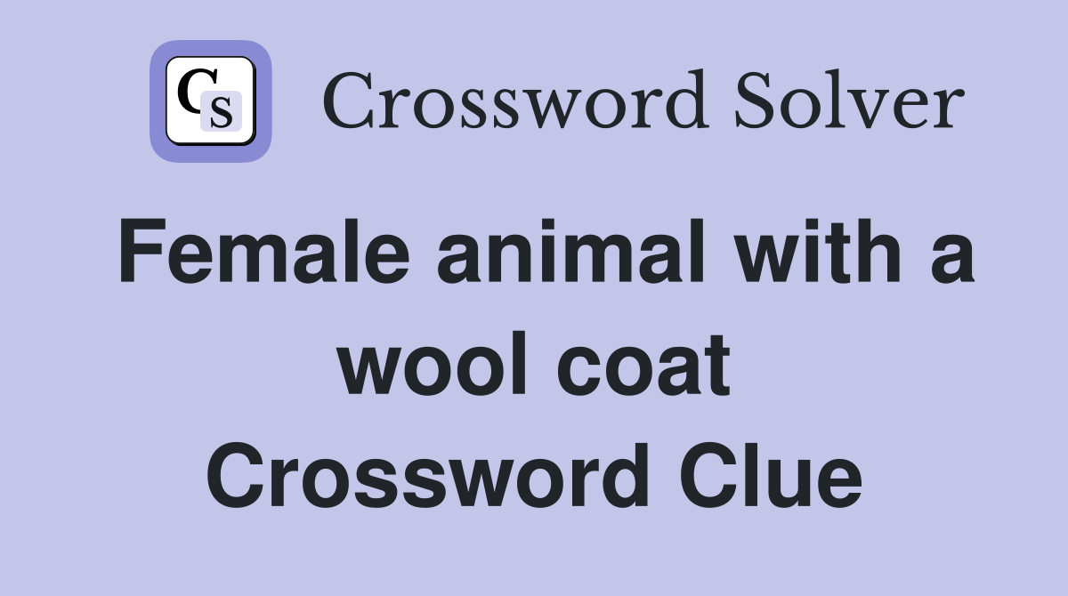 Female animal with a wool coat Crossword Clue