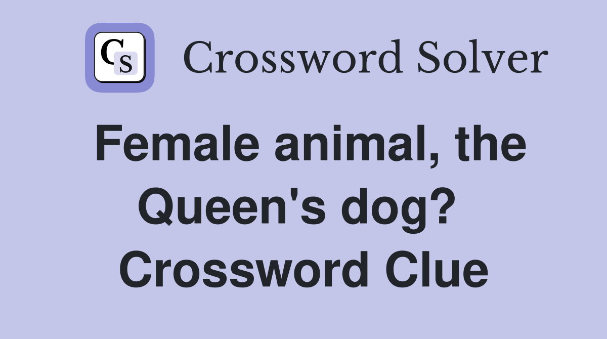 Female animal, the Queen's dog?  Crossword Clue