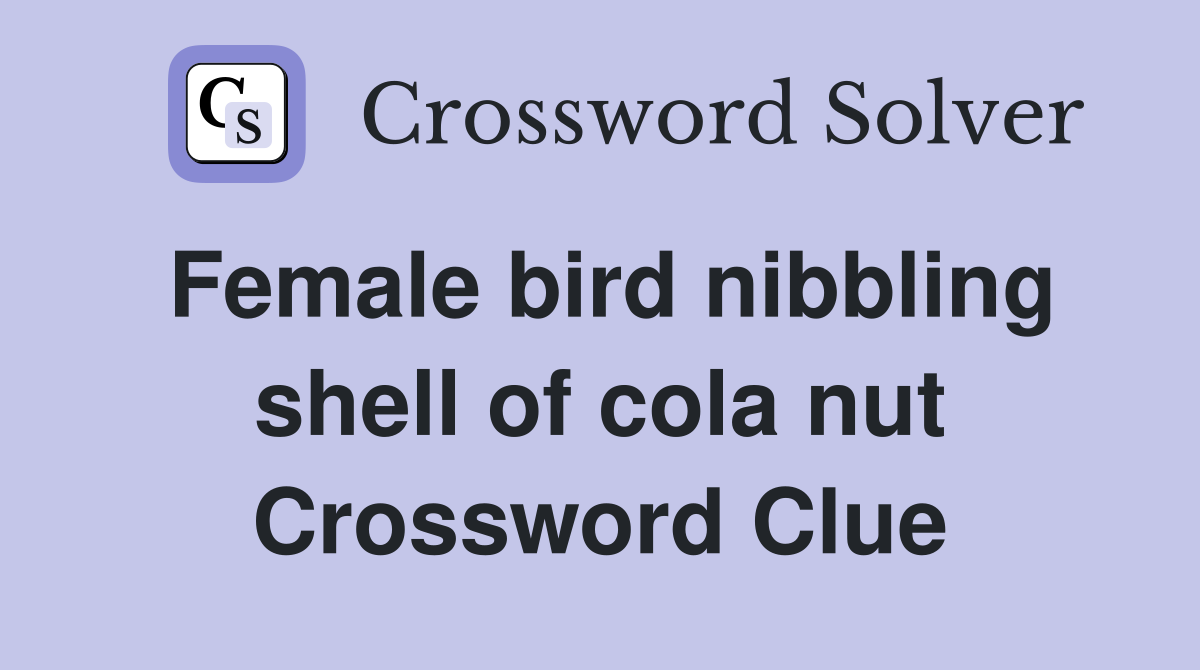 Female bird nibbling shell of cola nut Crossword Clue