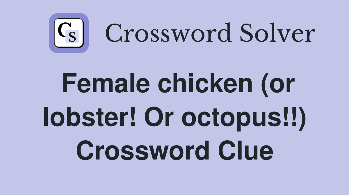 Female chicken (or lobster! Or octopus!!) Crossword Clue