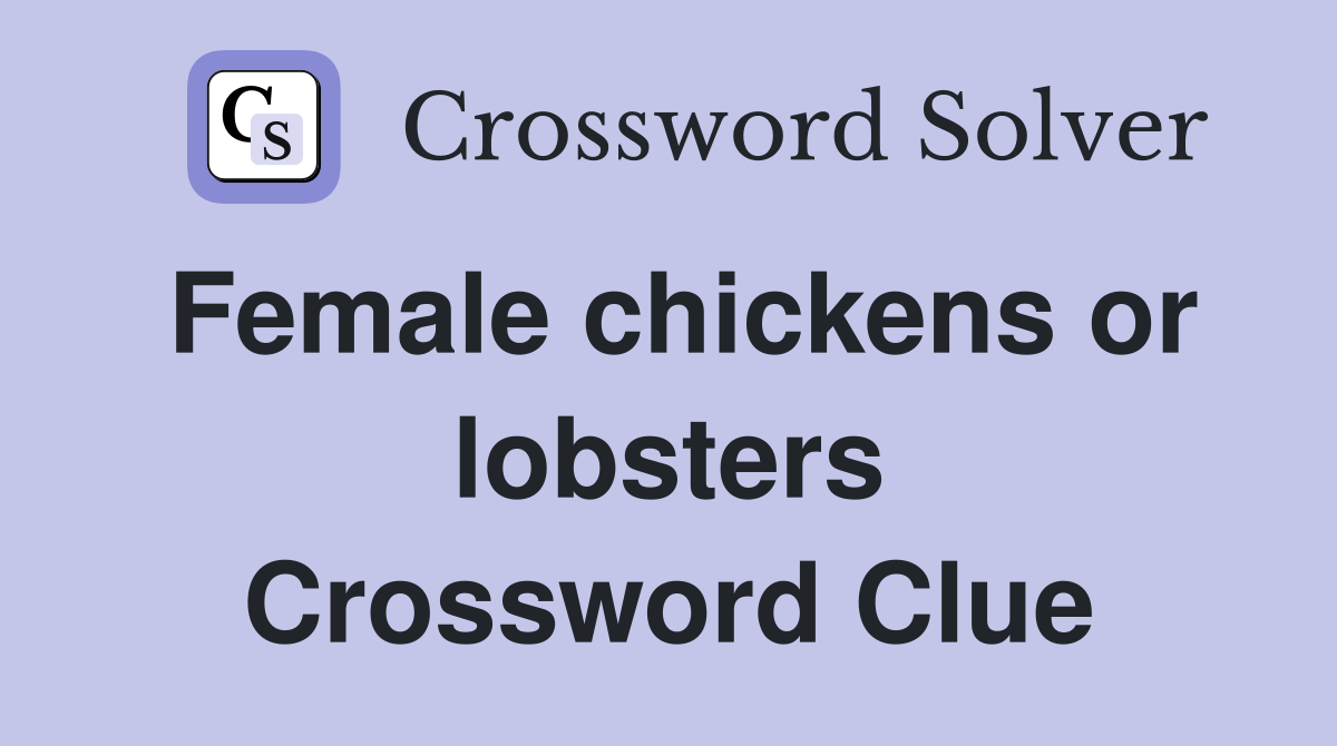 Female chickens or lobsters Crossword Clue