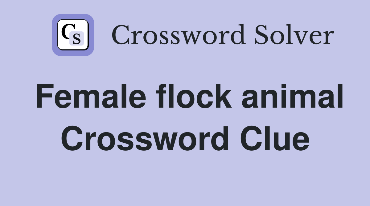 Female flock animal Crossword Clue
