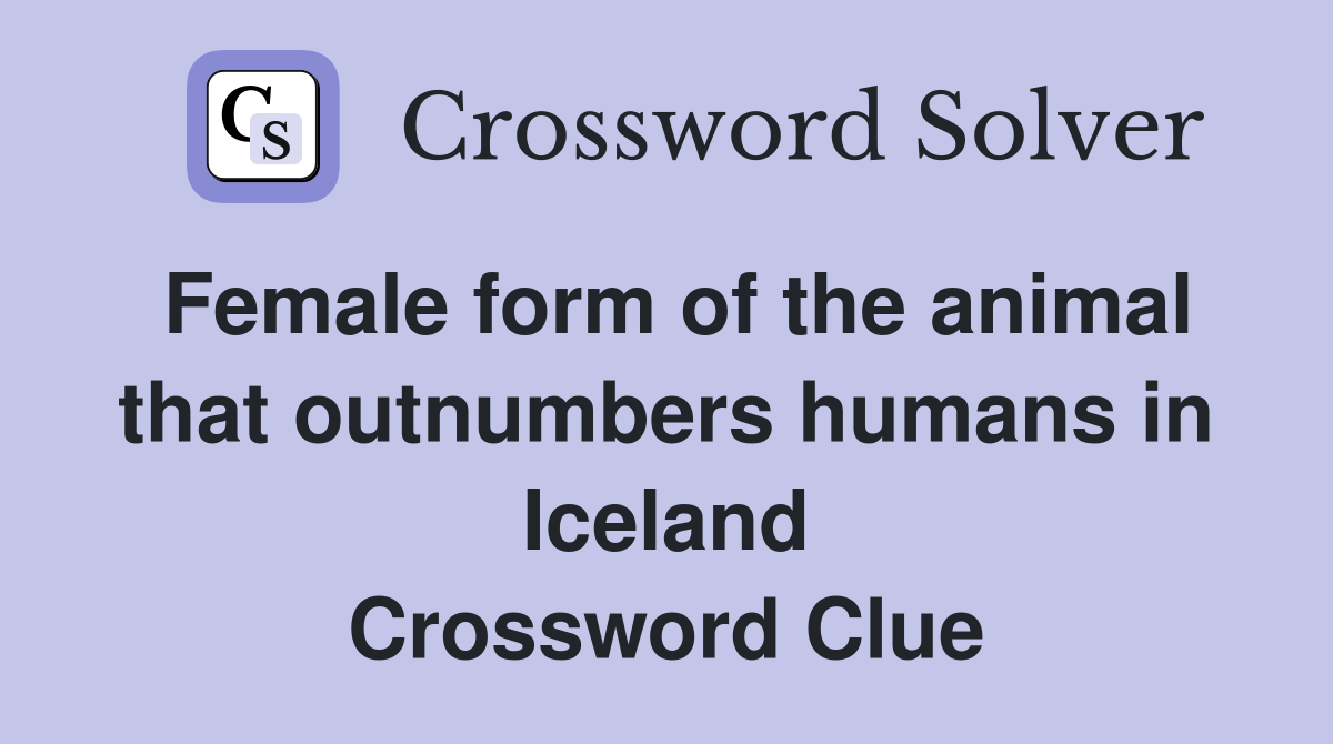 Female form of the animal that outnumbers humans in Iceland Crossword Clue