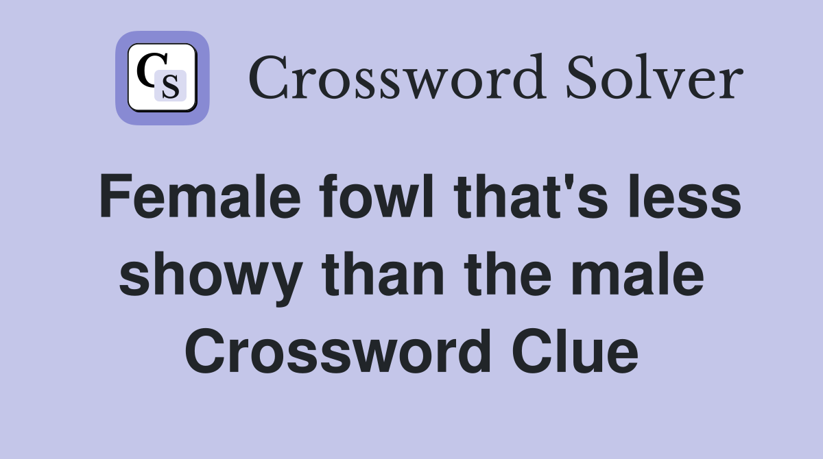 Female fowl that's less showy than the male Crossword Clue