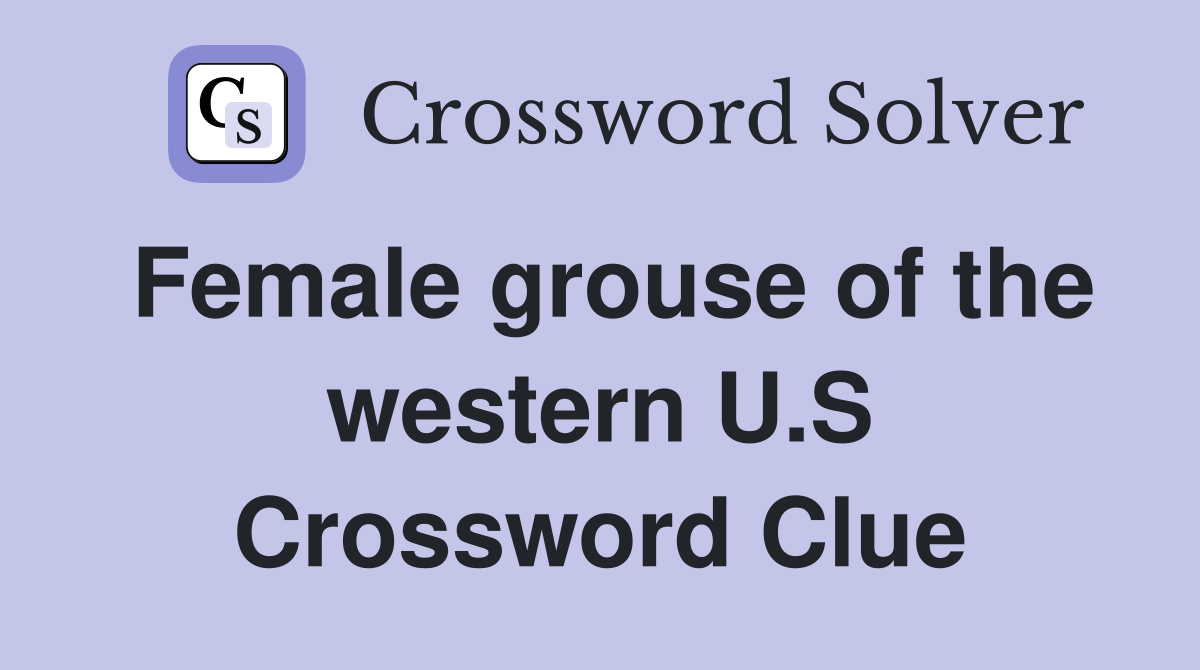 Female grouse of the western U.S Crossword Clue
