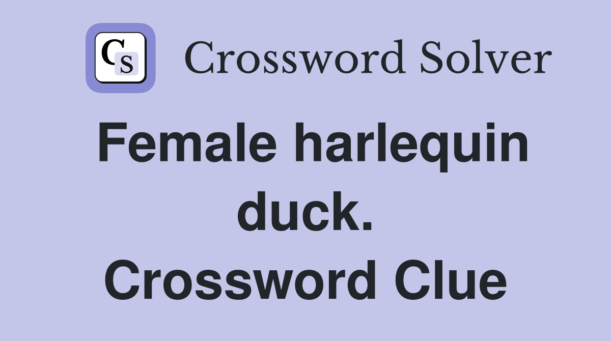 Female harlequin duck. Crossword Clue