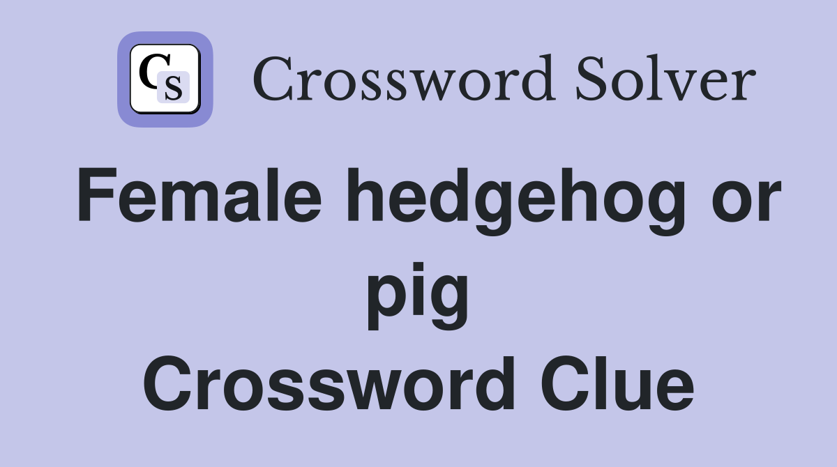 Female hedgehog or pig Crossword Clue
