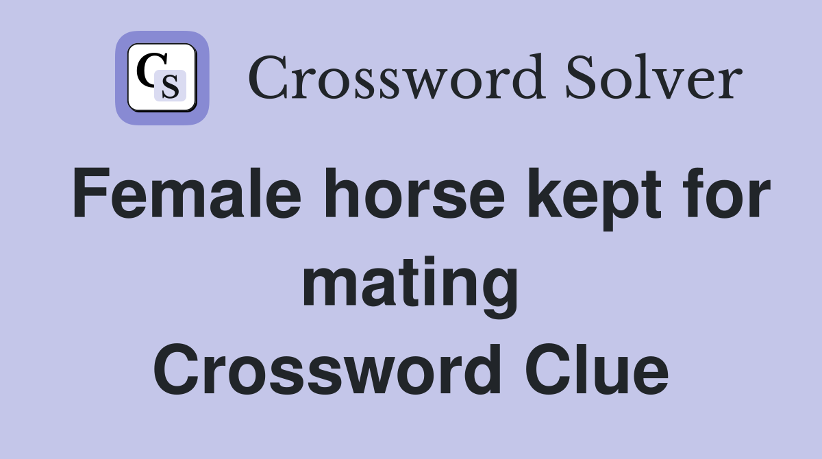 Female horse kept for mating Crossword Clue