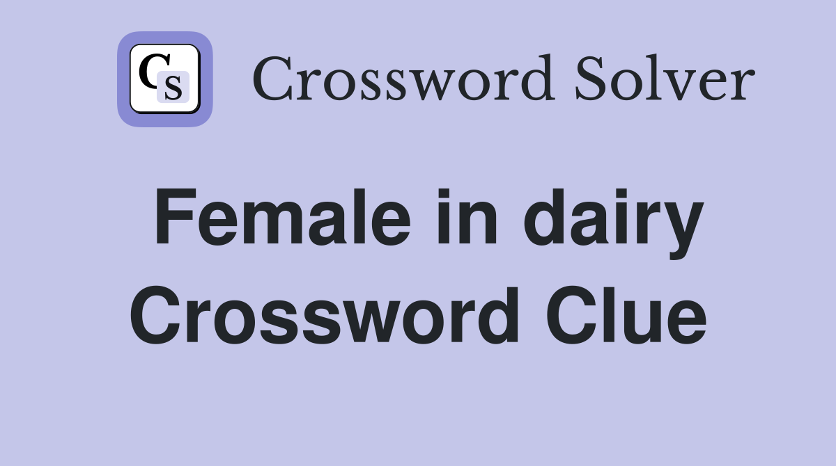 Female in dairy Crossword Clue
