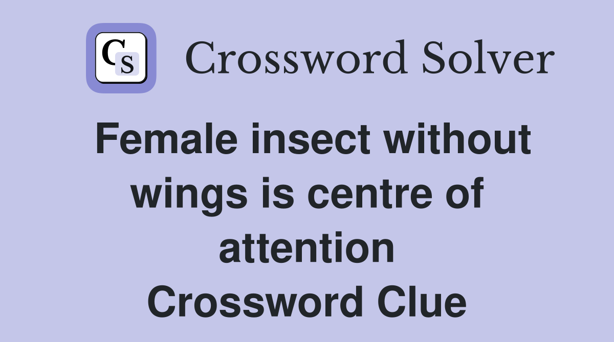 Female insect without wings is centre of attention Crossword Clue