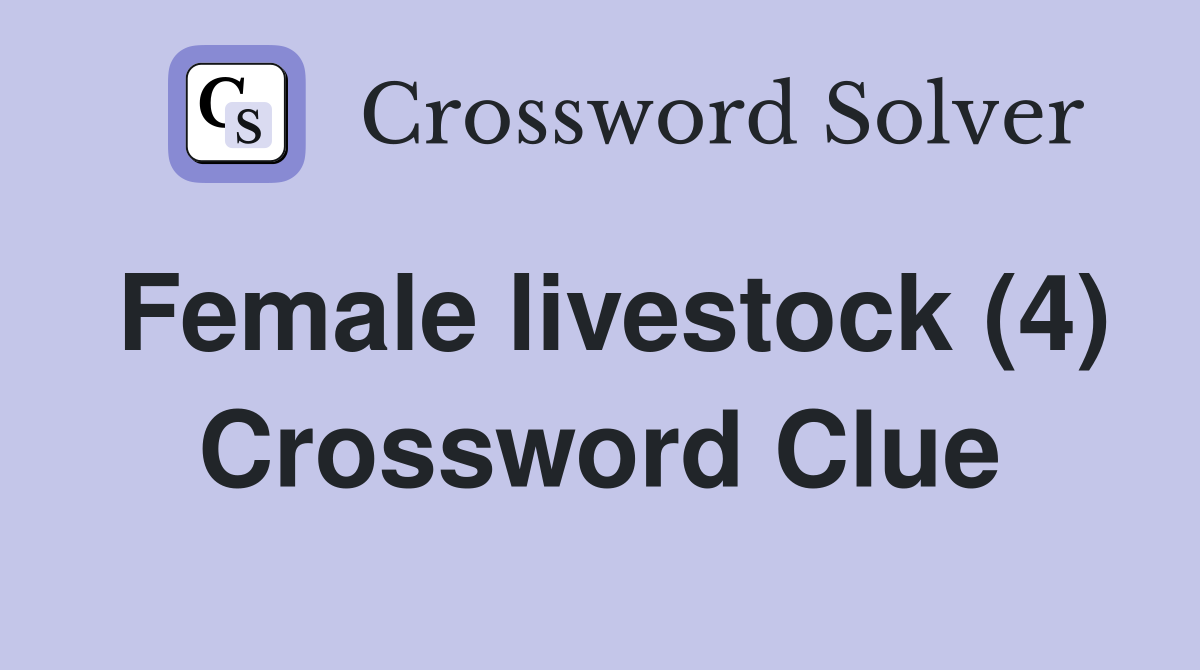 Female livestock (4) Crossword Clue