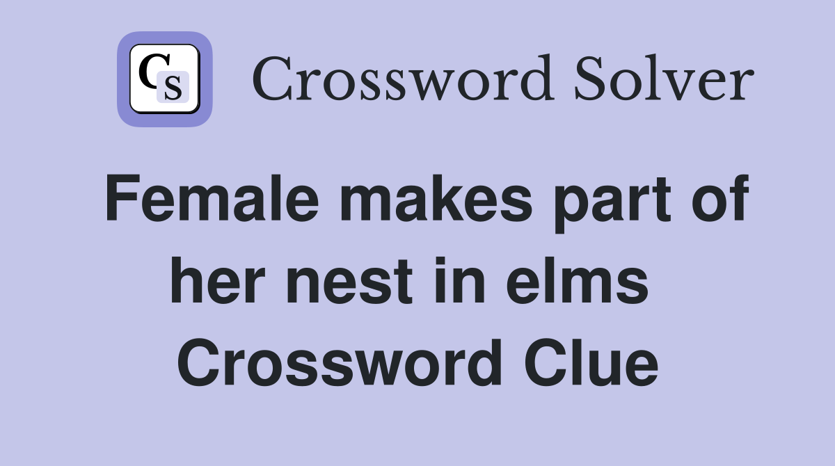 Female makes part of her nest in elms  Crossword Clue
