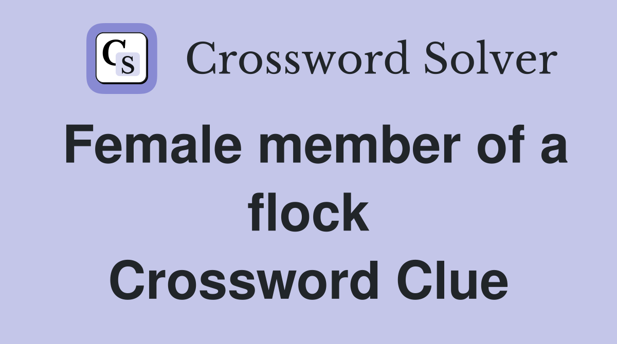 Female member of a flock Crossword Clue