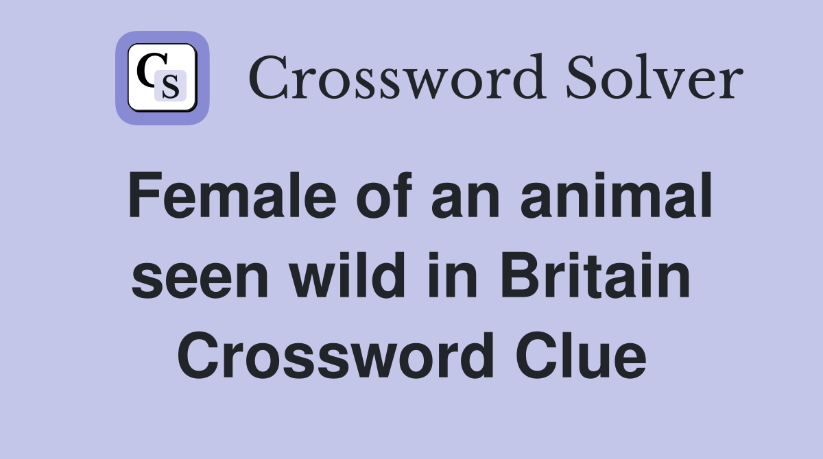 Female of an animal seen wild in Britain Crossword Clue