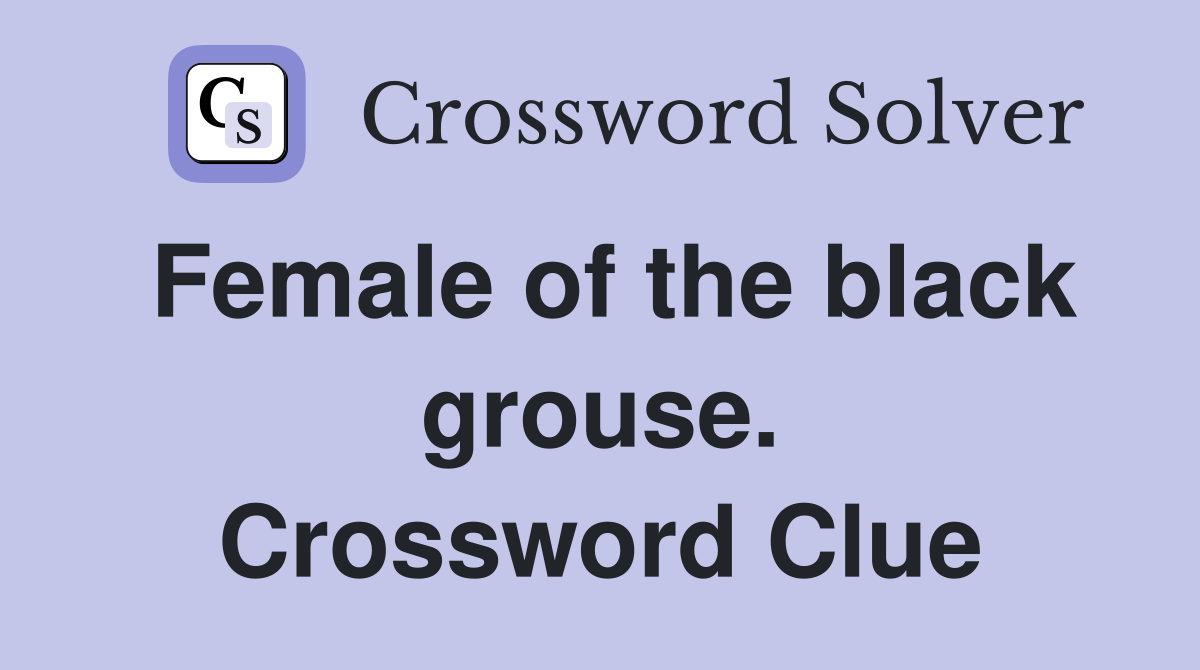 Female of the black grouse. Crossword Clue