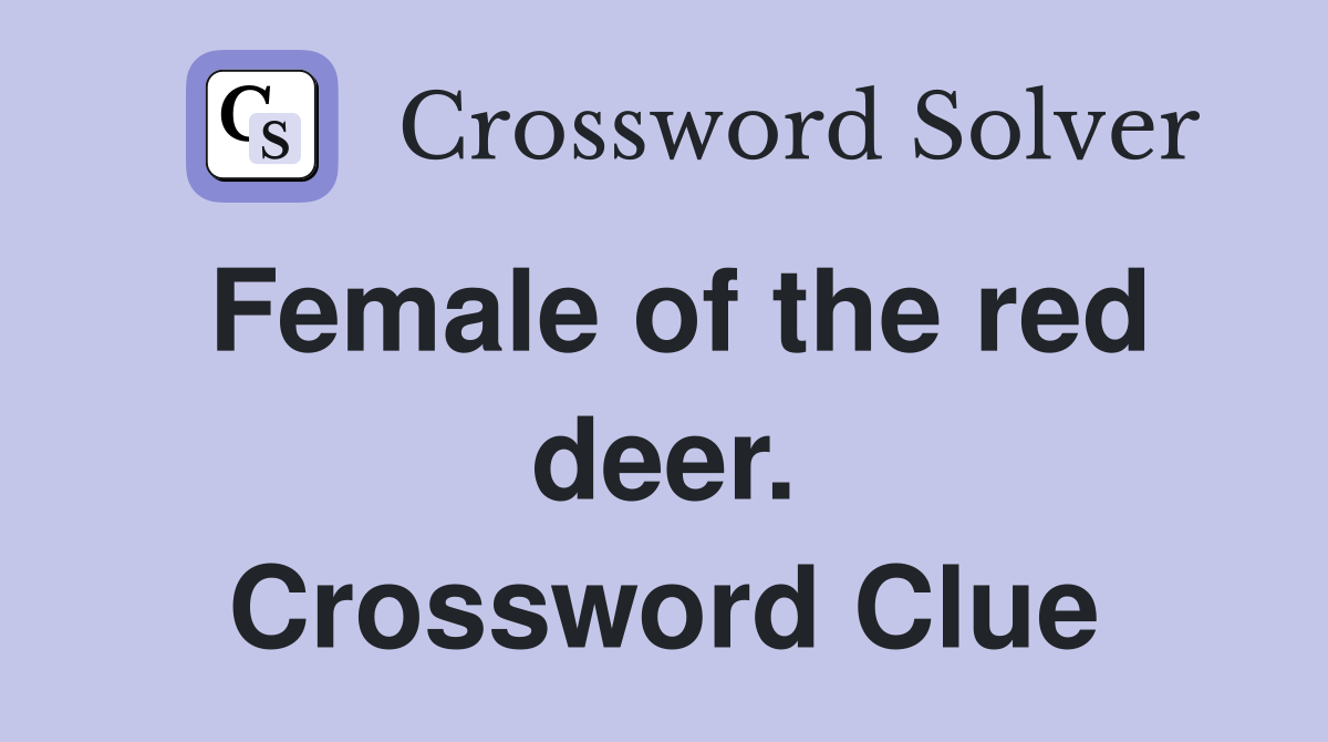 Female of the red deer. Crossword Clue