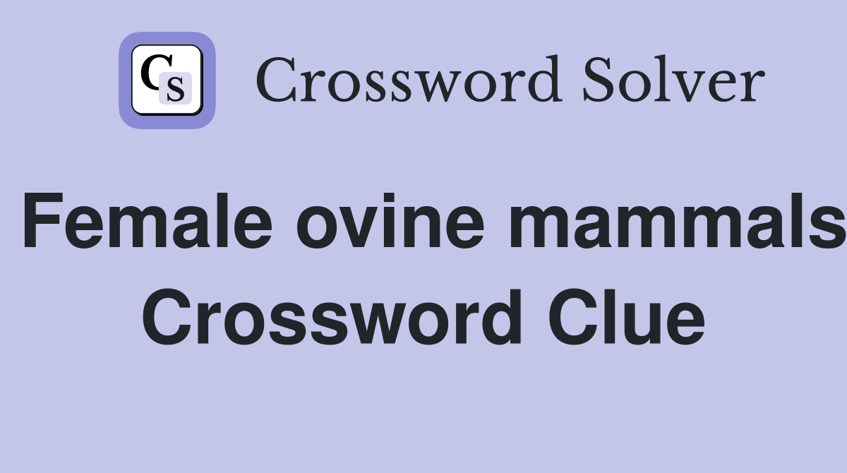 Female ovine mammals Crossword Clue