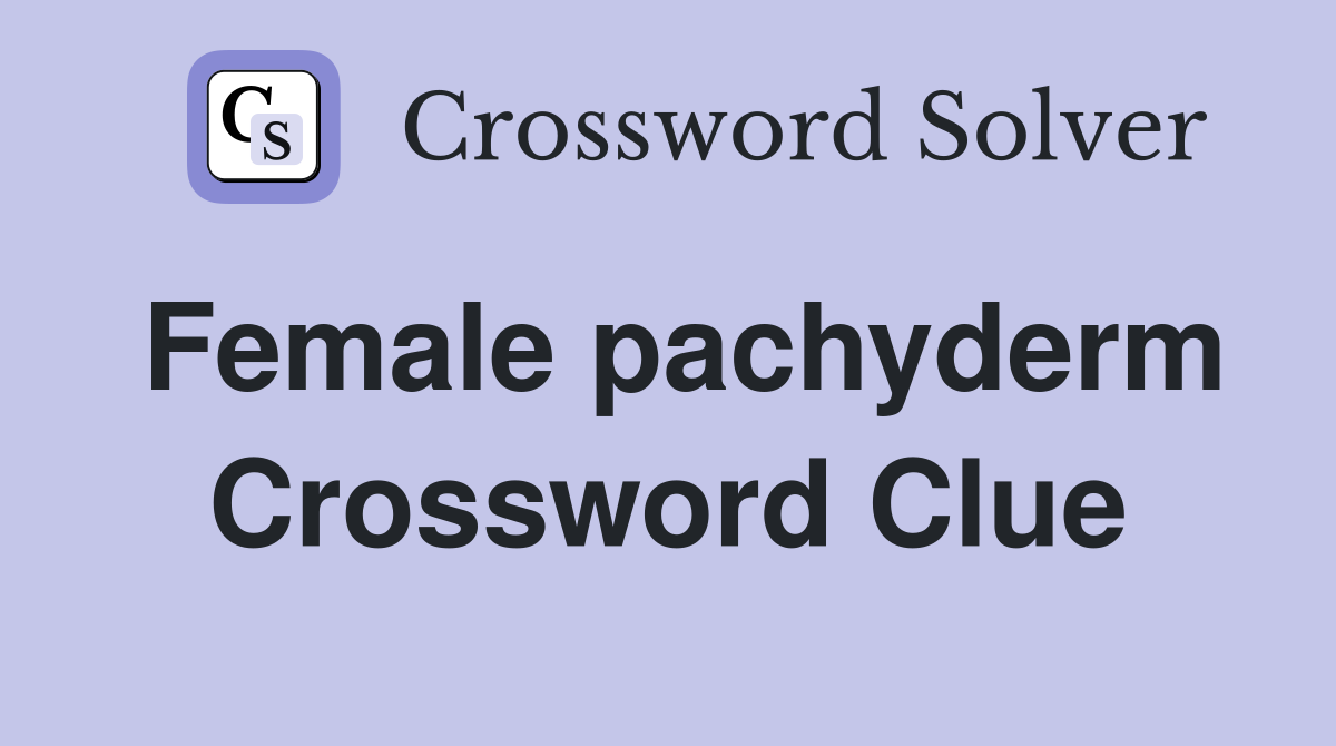 Female pachyderm Crossword Clue