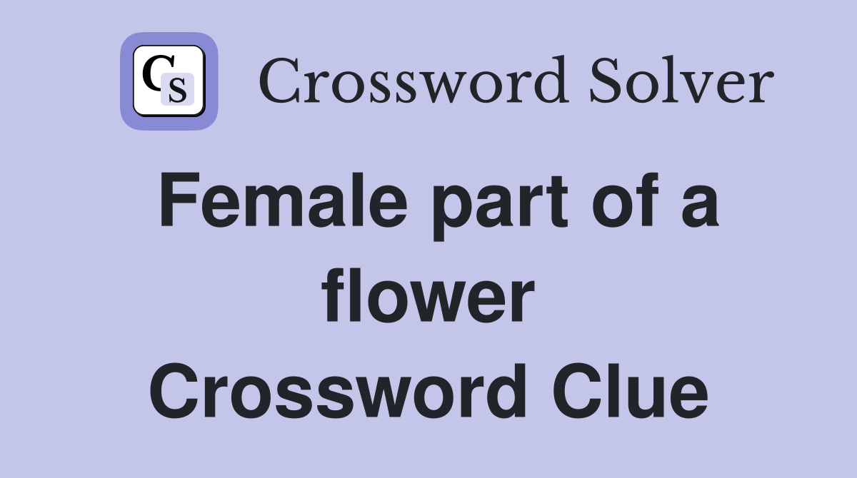 Female part of a flower Crossword Clue