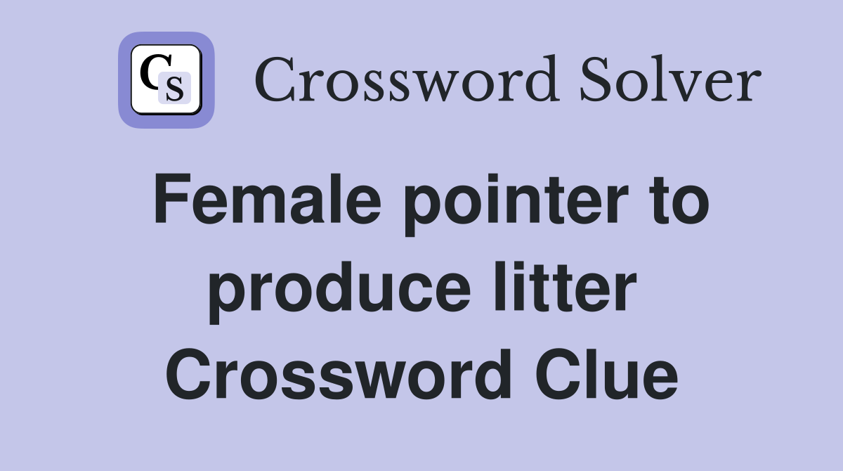 Female pointer to produce litter Crossword Clue