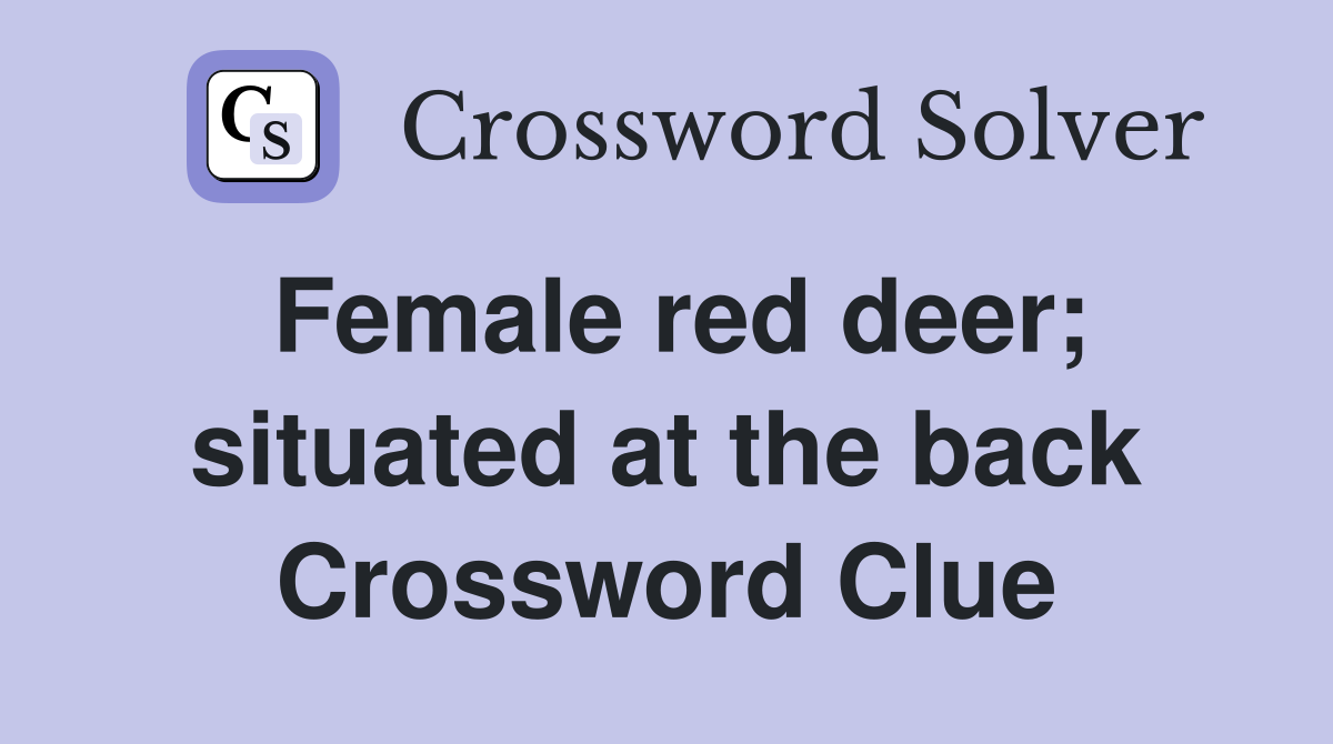 Female red deer; situated at the back Crossword Clue
