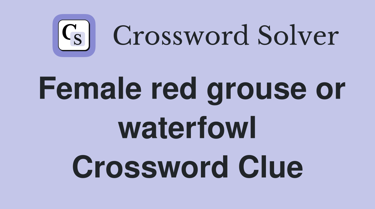 Female red grouse or waterfowl Crossword Clue
