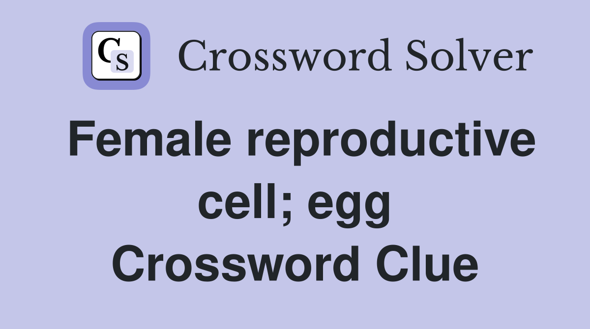 Female reproductive cell; egg Crossword Clue