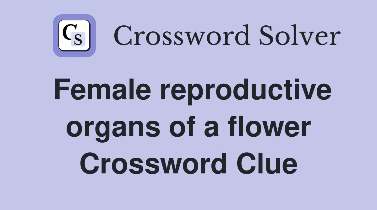 Female reproductive organs of a flower Crossword Clue