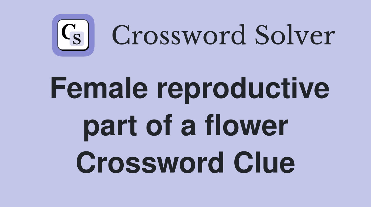 Female reproductive part of a flower Crossword Clue