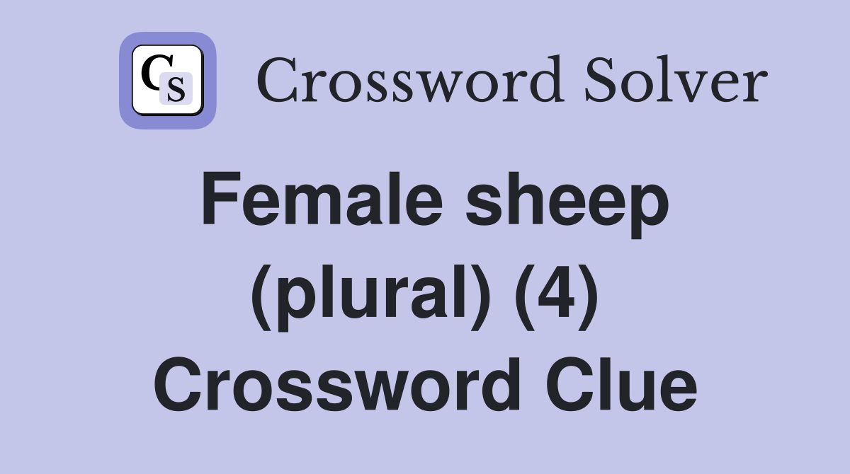 Female sheep (plural) (4) Crossword Clue