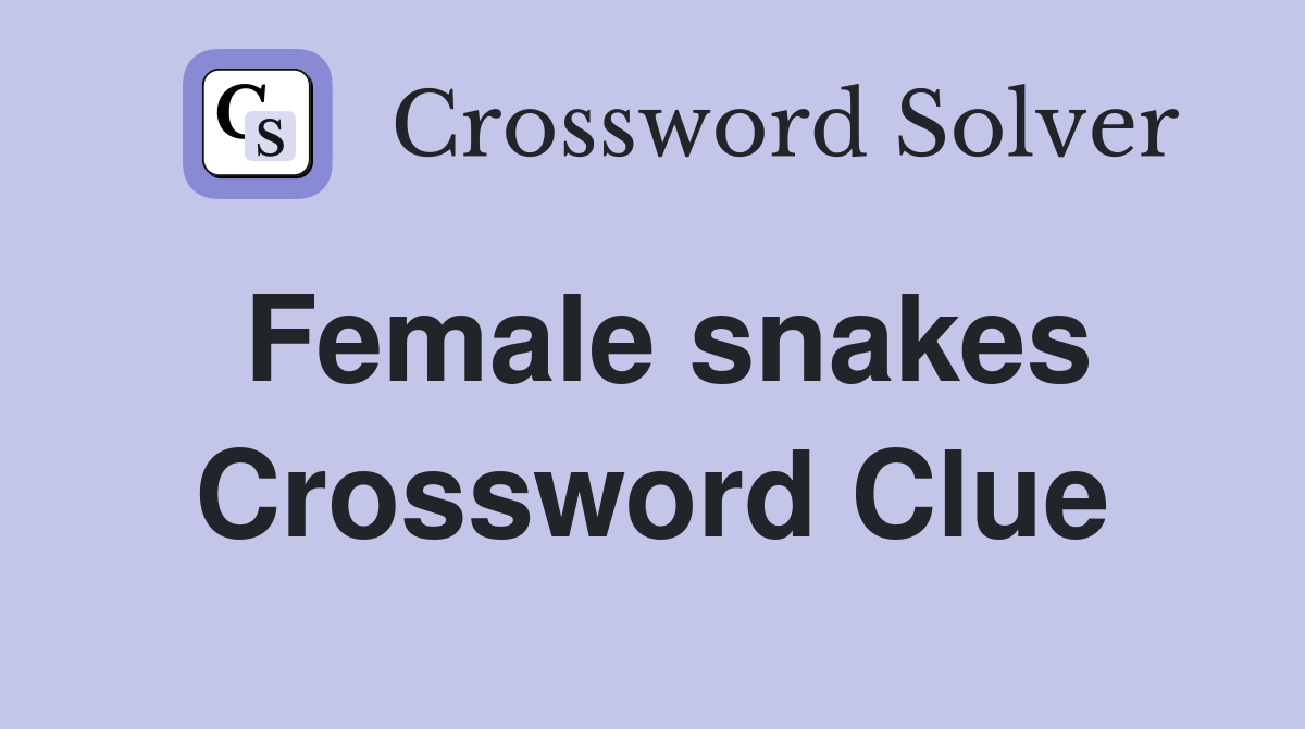 Female snakes Crossword Clue