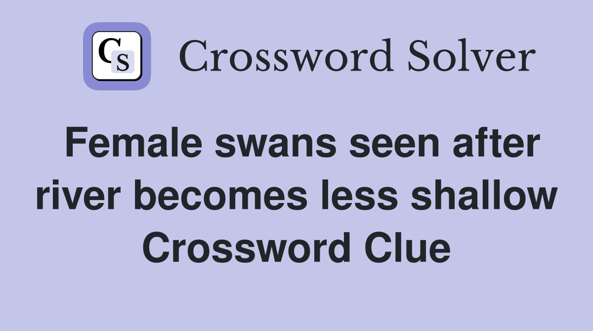 Female swans seen after river becomes less shallow Crossword Clue