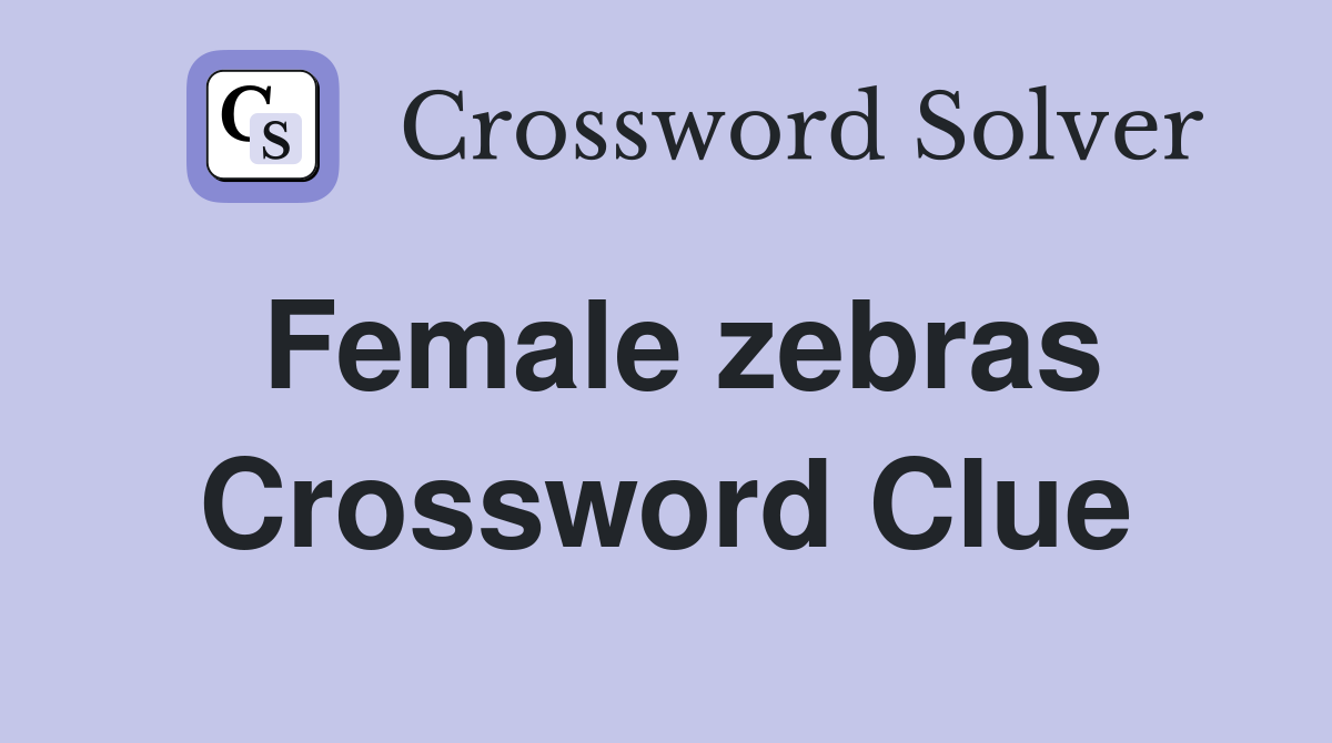 Female zebras Crossword Clue