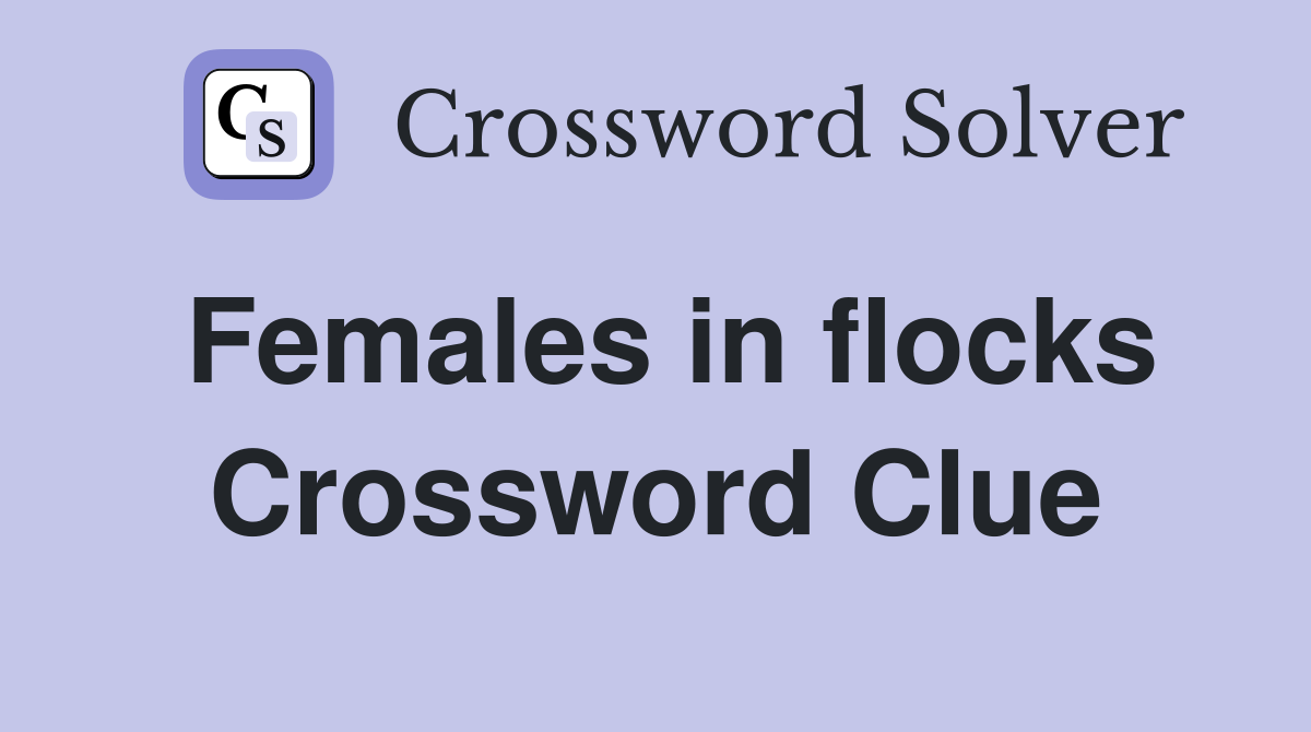 Females in flocks Crossword Clue