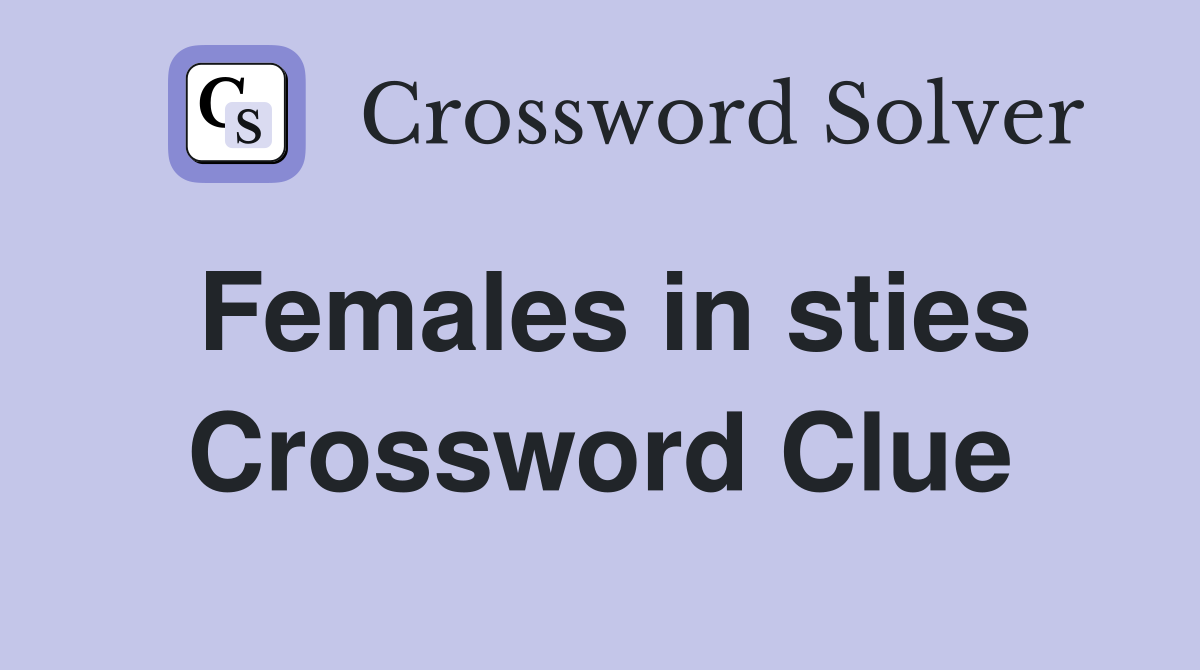 Females in sties Crossword Clue