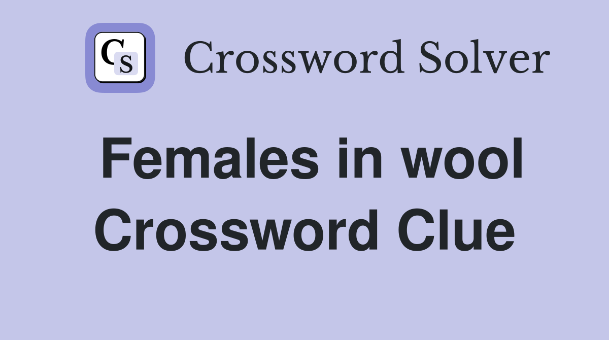 Females in wool Crossword Clue