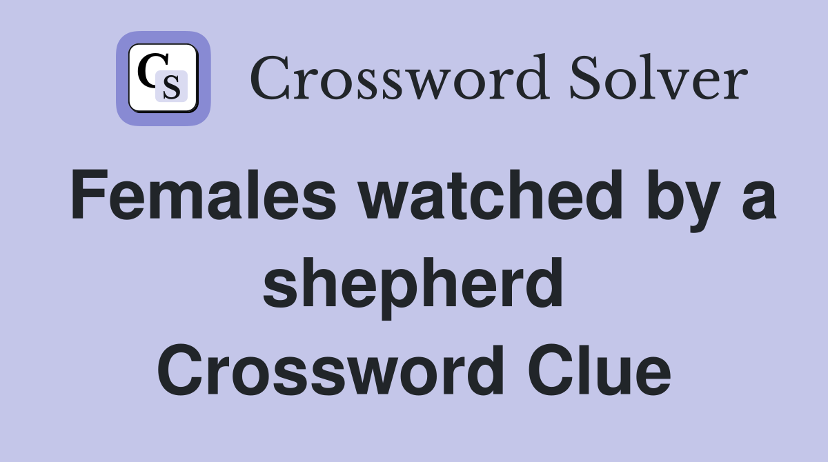 Females watched by a shepherd Crossword Clue