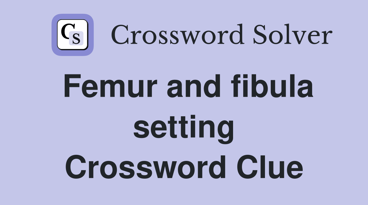 Femur and fibula setting Crossword Clue