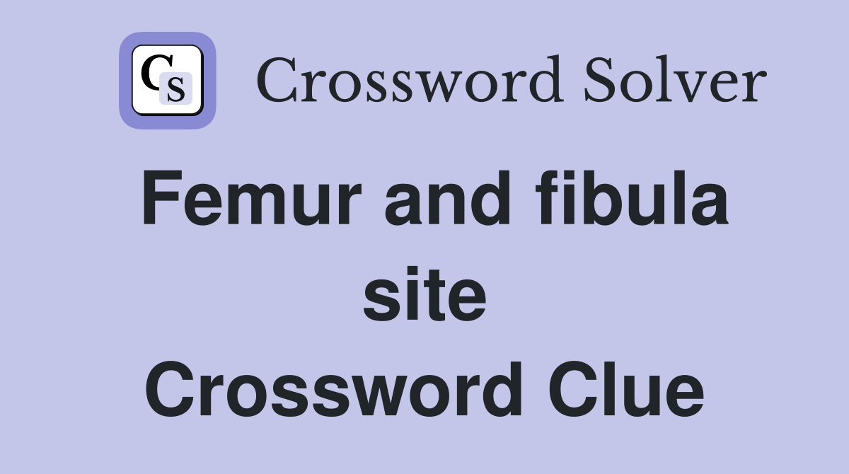 Femur and fibula site Crossword Clue