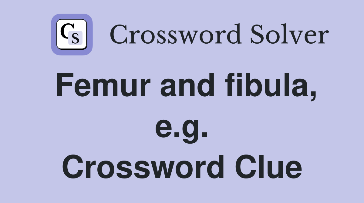 Femur and fibula, e.g. Crossword Clue