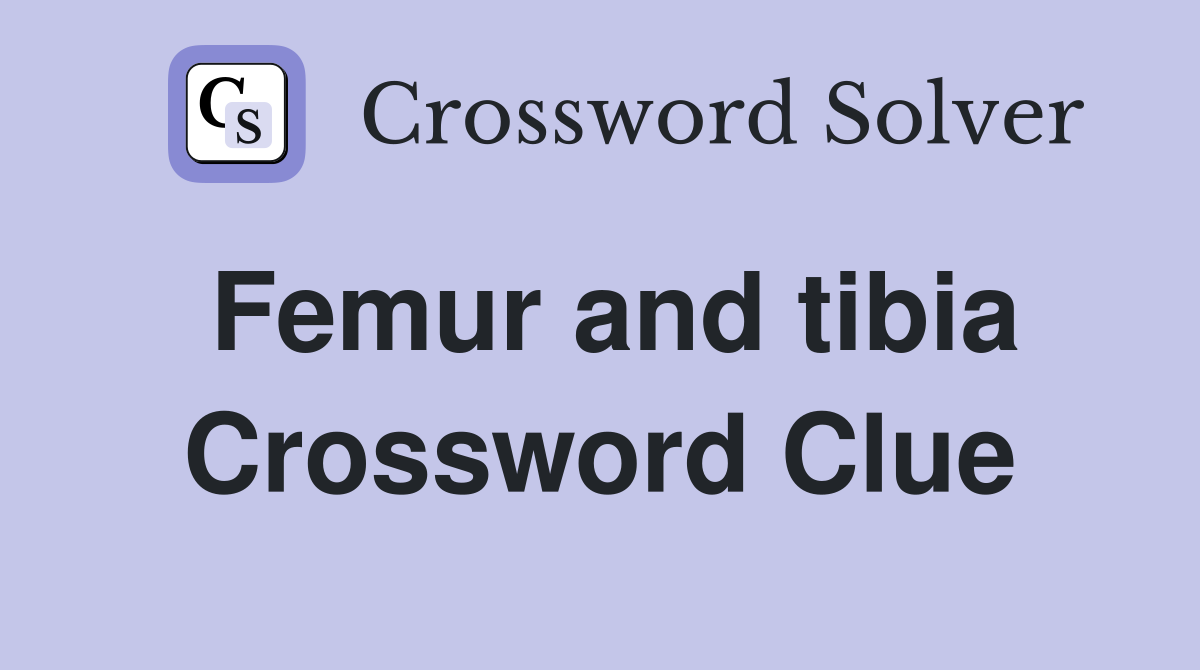 Femur and tibia Crossword Clue