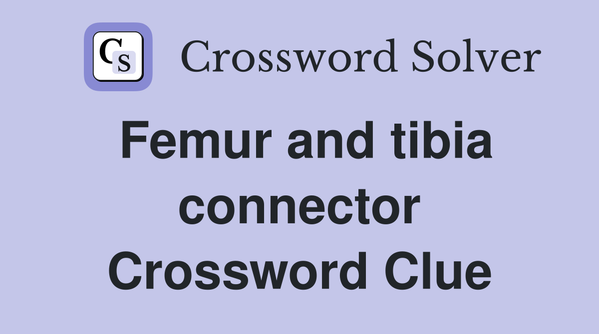 Femur and tibia connector Crossword Clue