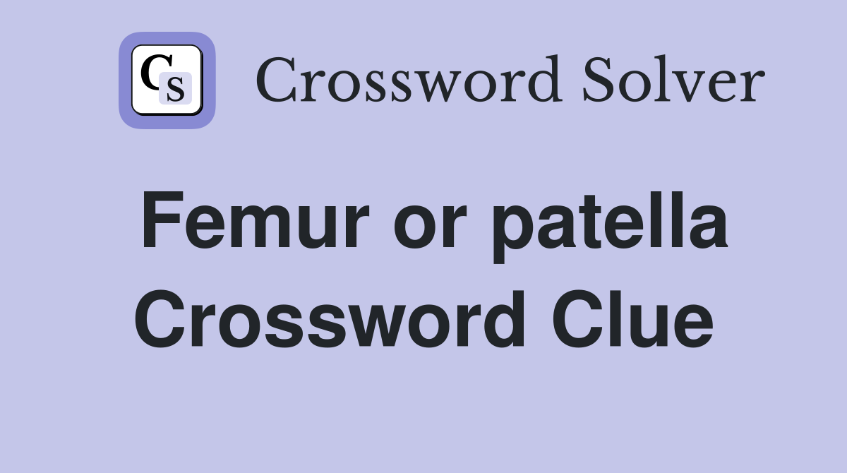 Femur or patella Crossword Clue