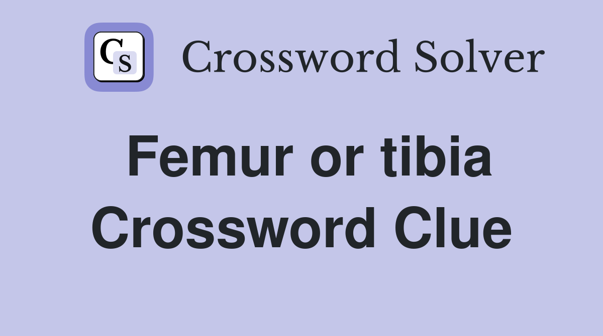 Femur or tibia Crossword Clue